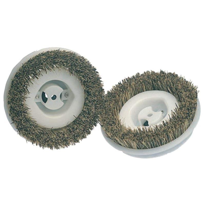 Effective Cleaning with Koblenz Scrub Brushes: A Reliable Choice